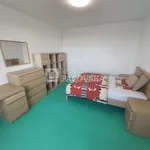 Rent 1 bedroom apartment of 36 m² in Ústí nad Labem