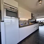 Rent 4 bedroom apartment of 110 m² in Meerwede Zuidoost