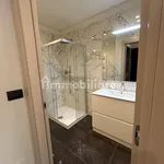 Rent 2 bedroom apartment of 60 m² in Turin