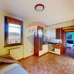 Appartamento in Affitto Cernusco sul Naviglio 31021019-140 | RE/MAX Italia