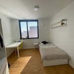 Rent 2 bedroom apartment of 70 m² in Mannheim