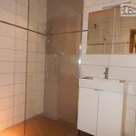 Rent 3 bedroom apartment of 90 m² in Brno