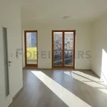 Rent 1 bedroom apartment of 63 m² in Pilsen