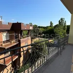 Rent 2 bedroom apartment of 55 m² in Nettuno