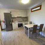 Rent 1 bedroom apartment in Siena