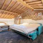 Rent 2 bedroom apartment of 40 m² in Firenze