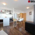 Pronajměte si 2 ložnic/e byt o rozloze 58 m² v Brno