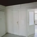 Rent 3 bedroom apartment in  Žižkov                        					