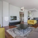 Rent 3 bedroom apartment of 145 m² in Zagreb