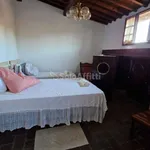 Rent 3 bedroom apartment of 60 m² in Pisa