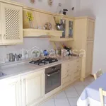 Rent 3 bedroom apartment of 65 m² in Diano Marina