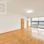 Pronajměte si 4 ložnic/e byt o rozloze 153 m² v Prague