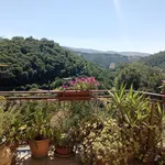 Rent 3 bedroom apartment of 82 m² in Spoleto