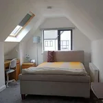 Rent a room of 130 m² in dublin