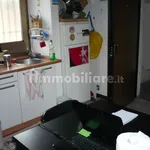 Rent 3 bedroom apartment of 45 m² in Turin