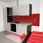 Rent 2 bedroom apartment of 45 m² in Torino