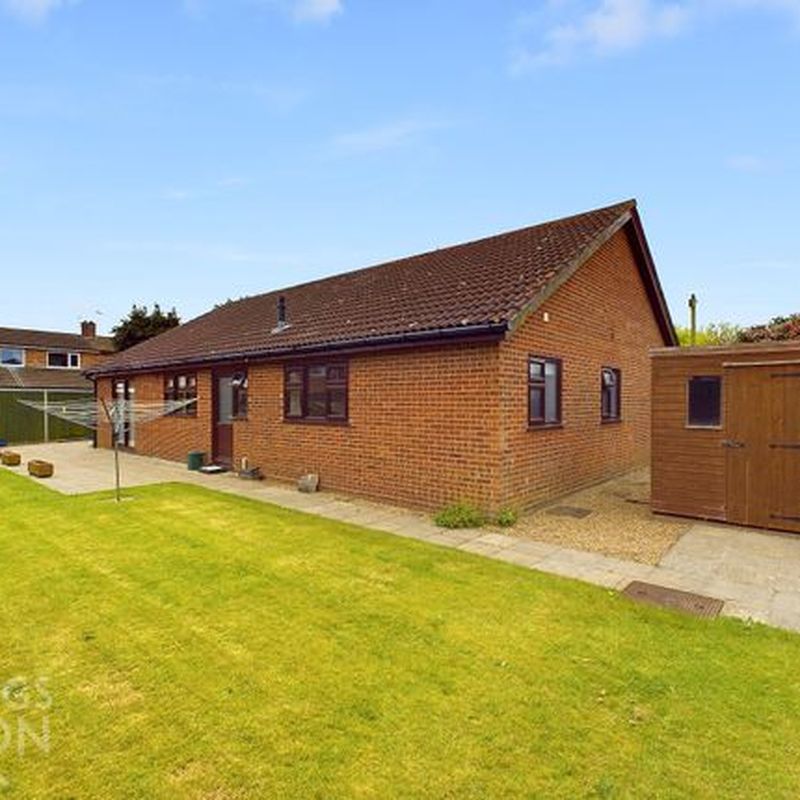 Detached bungalow to rent in Station Road, Lingwood, Norwich NR13 Cantley