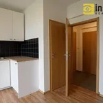 Rent 1 bedroom apartment of 29 m² in Pilsen