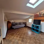 Rent 1 bedroom apartment of 50 m² in Bologna