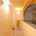 Rent 2 bedroom apartment of 50 m² in Firenze