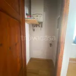 Rent 3 bedroom apartment of 70 m² in Lucca