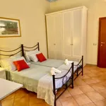 Rent 1 bedroom apartment of 45 m² in florence