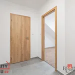 Pronajměte si 1 ložnic/e byt o rozloze 43 m² v Pilsen