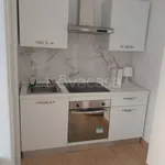 Rent 1 bedroom apartment of 20 m² in Pomezia