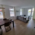 Rent 3 bedroom apartment of 54 m² in Indische buurt