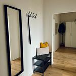 Miete 1 Schlafzimmer wohnung von 50 m² in Chemnitz