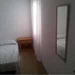 Rent a room in Palma