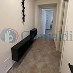 Rent 2 bedroom apartment of 50 m² in Livorno