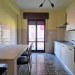 Rent 3 bedroom apartment of 80 m² in catanzaro