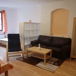 Rent 1 bedroom apartment of 35 m² in Hradec Králové