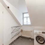 Rent 1 bedroom apartment of 38 m² in Dresden