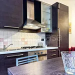 Rent 2 bedroom apartment of 45 m² in Milano