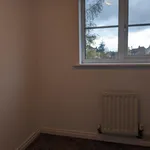 Rent 3 bedroom house in Sheffield