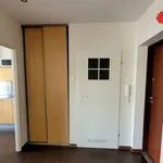 Rent 3 bedroom apartment of 64 m² in Poznan