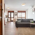 Rent 2 bedroom apartment of 79 m² in Porto