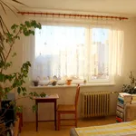 Rent 1 bedroom apartment in Ústí nad Labem