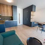 Pronajměte si 1 ložnic/e byt o rozloze 45 m² v Prague