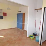 Rent 2 bedroom apartment of 80 m² in livorno