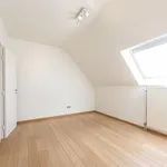 Rent 3 bedroom apartment in Brussels