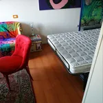 Rent 1 bedroom apartment in Milan