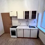 Rent 1 bedroom apartment in Plzeň-jih