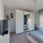 Rent 1 bedroom apartment of 55 m² in torino