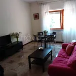 Rent 4 bedroom apartment of 80 m² in Nettuno