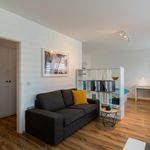 Rent 1 bedroom apartment of 35 m² in Leverkusen