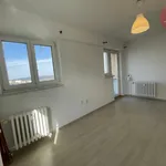 Rent 1 bedroom apartment in Ostrava