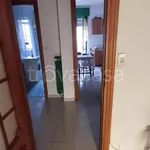 Rent 2 bedroom apartment of 50 m² in Torino